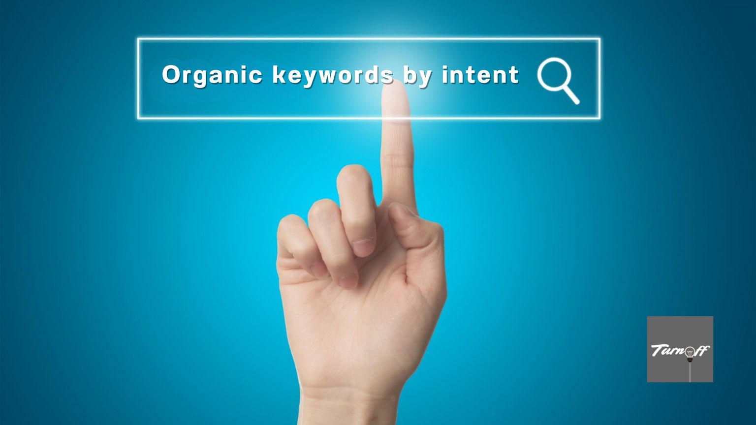 Organic keywords by Search intent