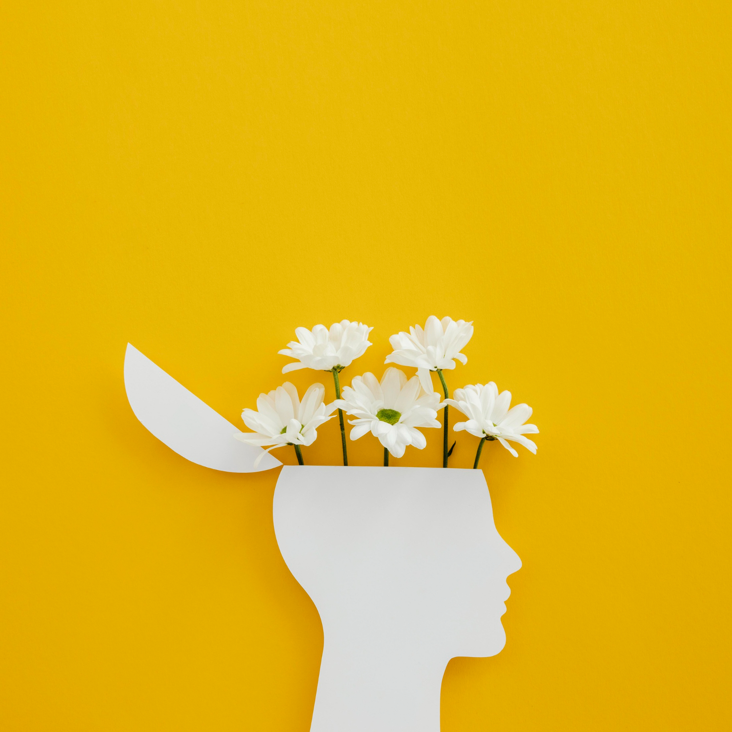 Growth Mindset คือ