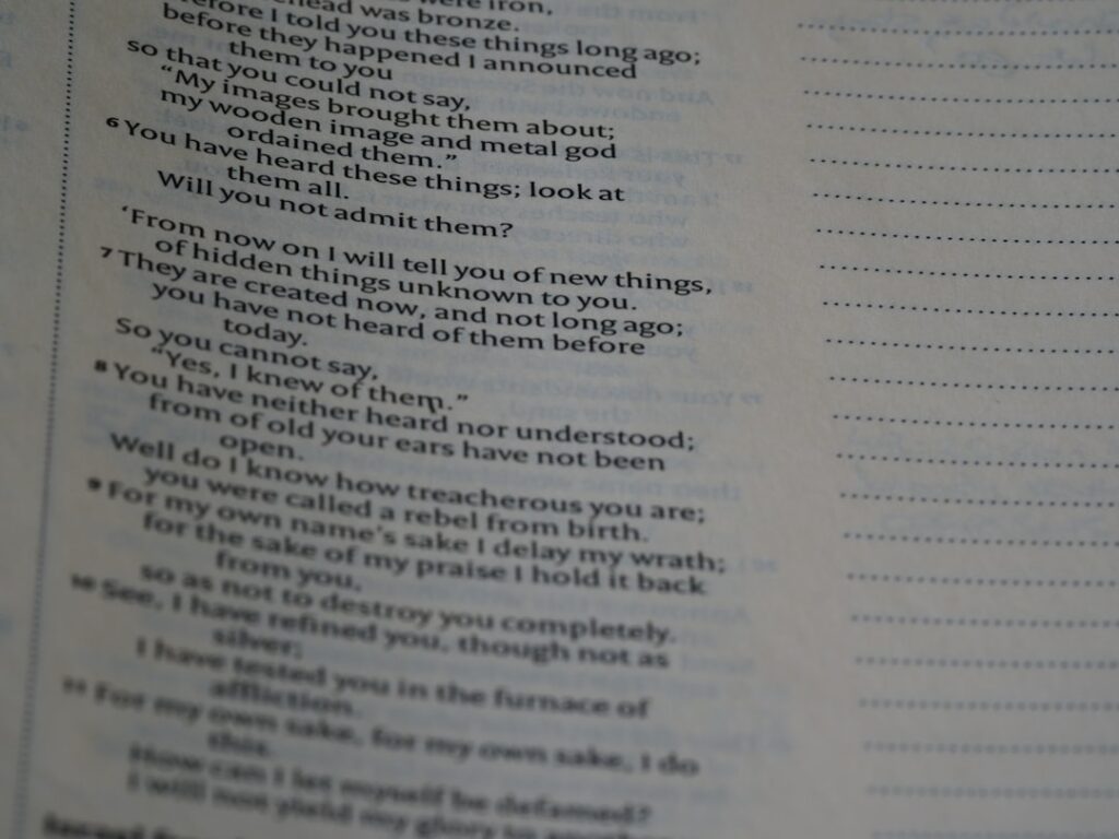 Photo midjourney prompt examples