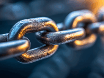 seo backlink 2025